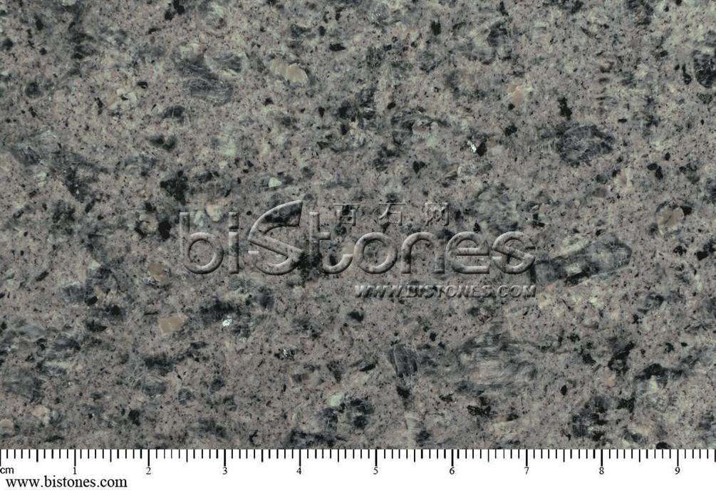 Turkey Gray