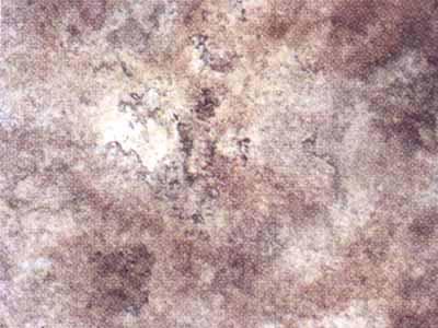 Algonquin Limestone