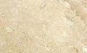 Ivory Borneo