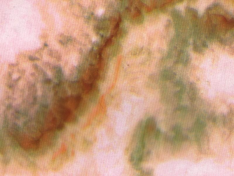 Clouded Red Marble