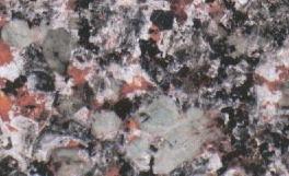 Azalea Red of Feng City 