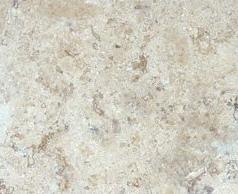 Yurac Travertine