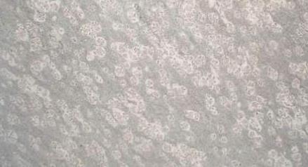 Prata Ornamental