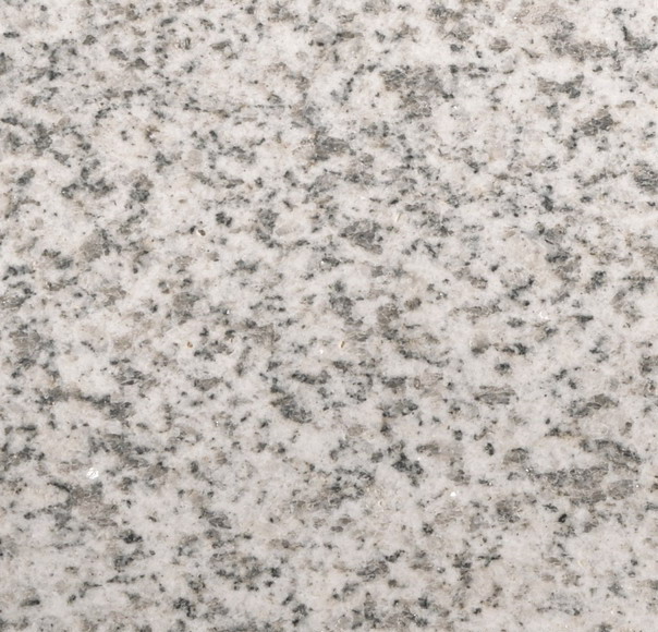 Shandong white