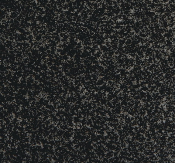 Shanxi Black