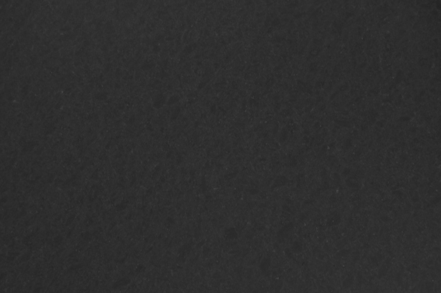 Kasmir Black