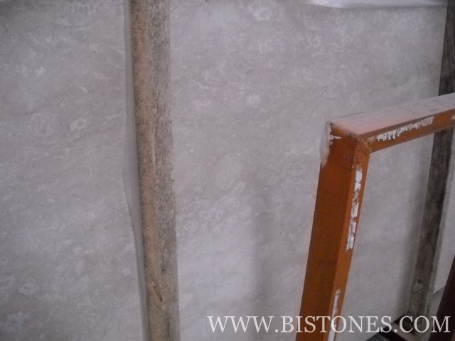 Tiger Beige Slabs