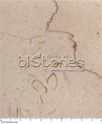 Shell Beige