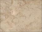 Forte Beige