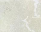 Moon Cream