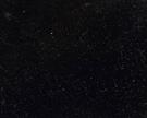 Hainan Black