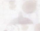 Han's White Jade of Gao 