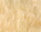 Honey Onyx
