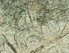Jungle Green Marble