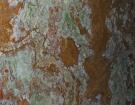 Medium Green Onyx