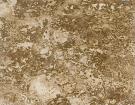 Travertine Fossile