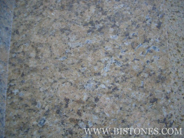Amarello Gold Tiles Amarello Gold Tiles