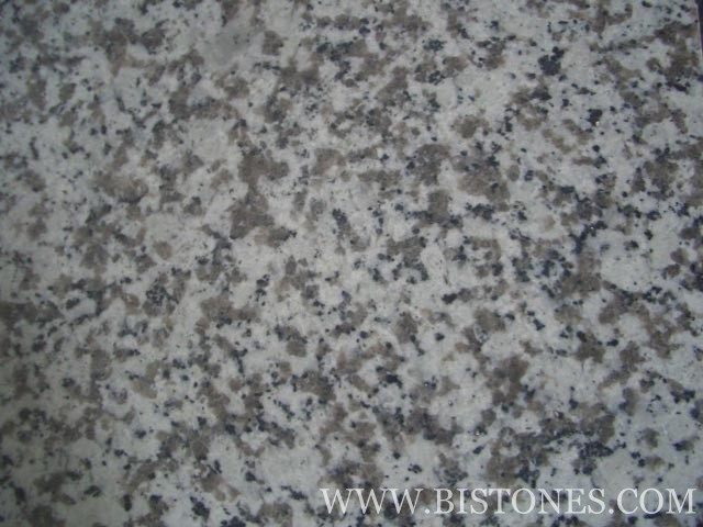 G439 Tiles G439 Tiles
