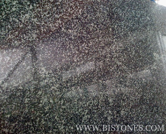 Verde Forest Tiles Verde Forest Tiles