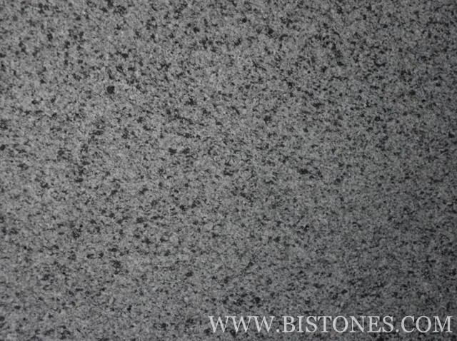 G641 Tiles G641 Tiles
